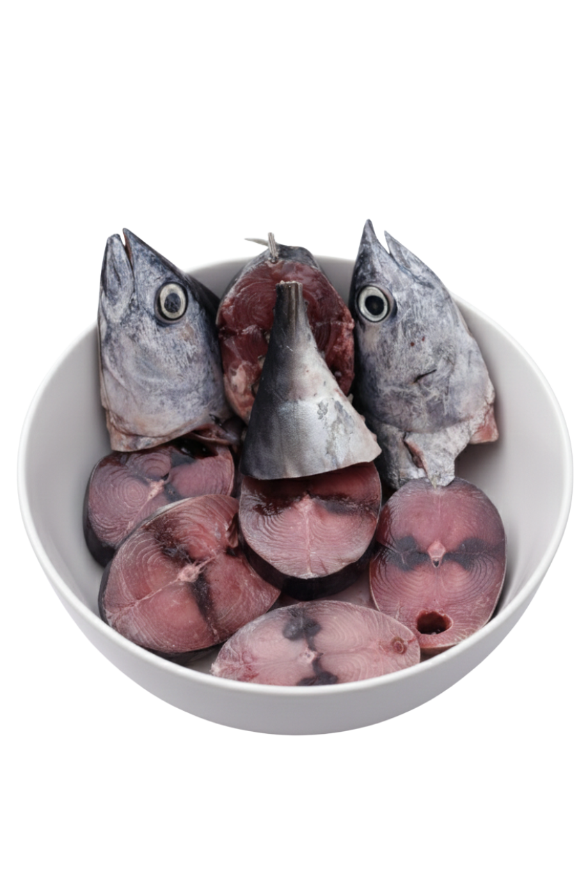 Ikan Tuna